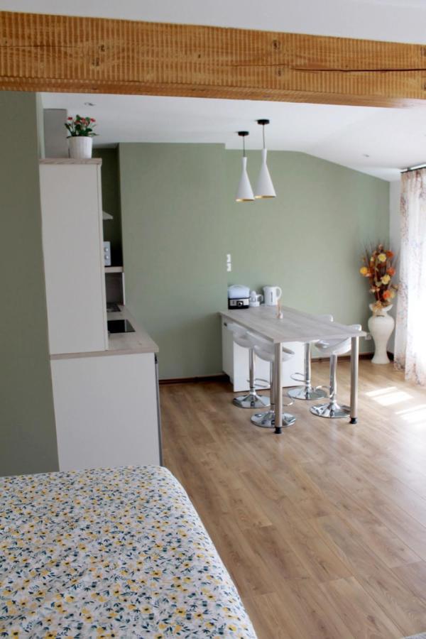 Saint Etienne : Appartement Chateaucreux 40 M2 מראה חיצוני תמונה