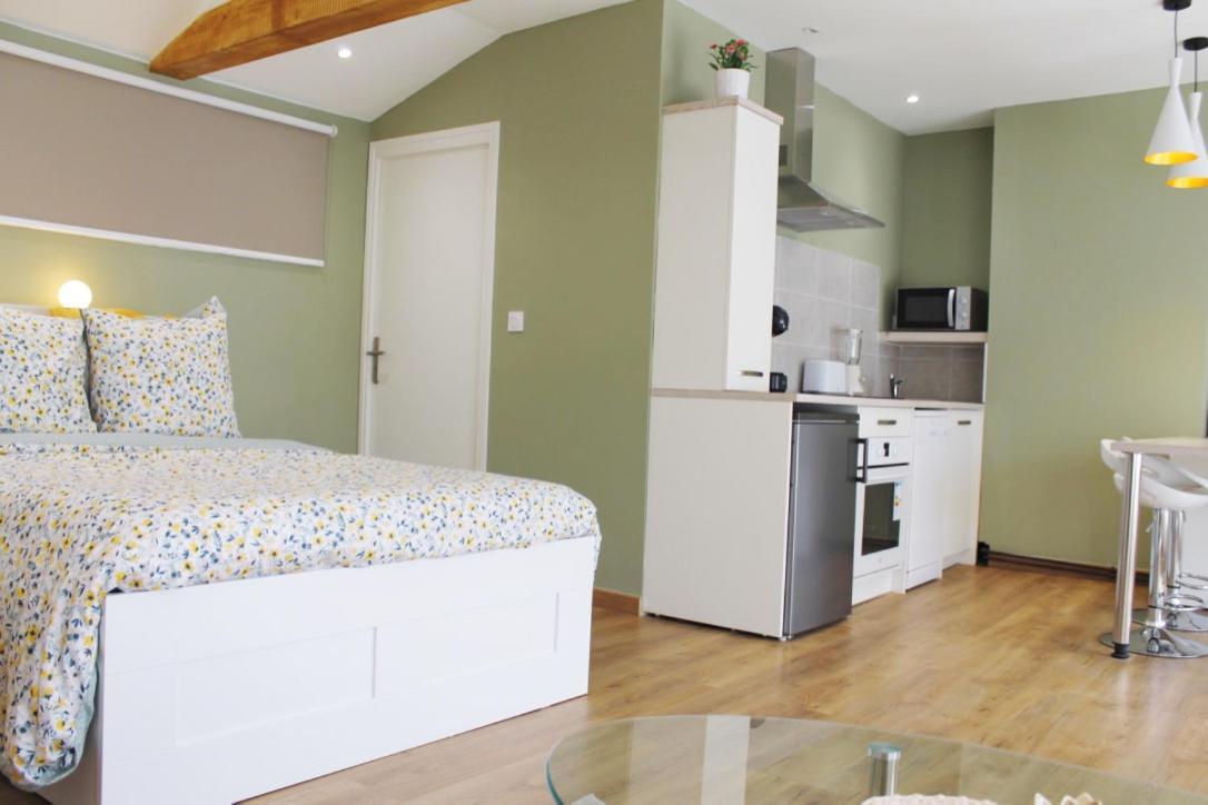 Saint Etienne : Appartement Chateaucreux 40 M2 מראה חיצוני תמונה