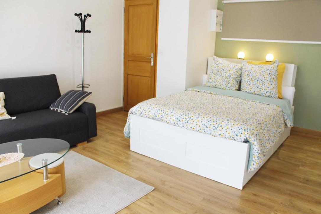 Saint Etienne : Appartement Chateaucreux 40 M2 מראה חיצוני תמונה