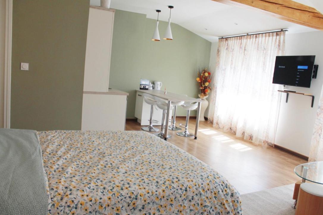 Saint Etienne : Appartement Chateaucreux 40 M2 מראה חיצוני תמונה