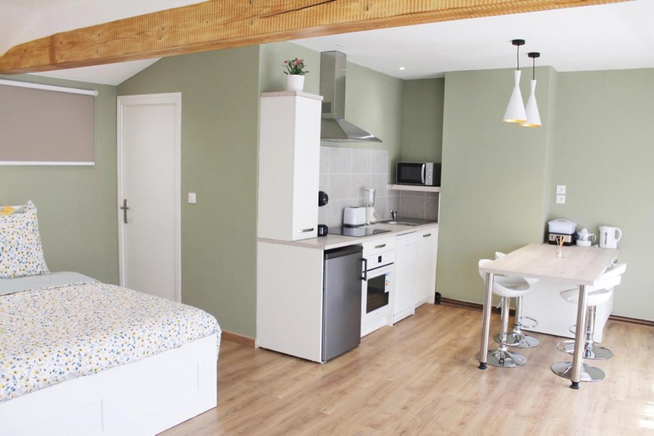 Saint Etienne : Appartement Chateaucreux 40 M2 מראה חיצוני תמונה
