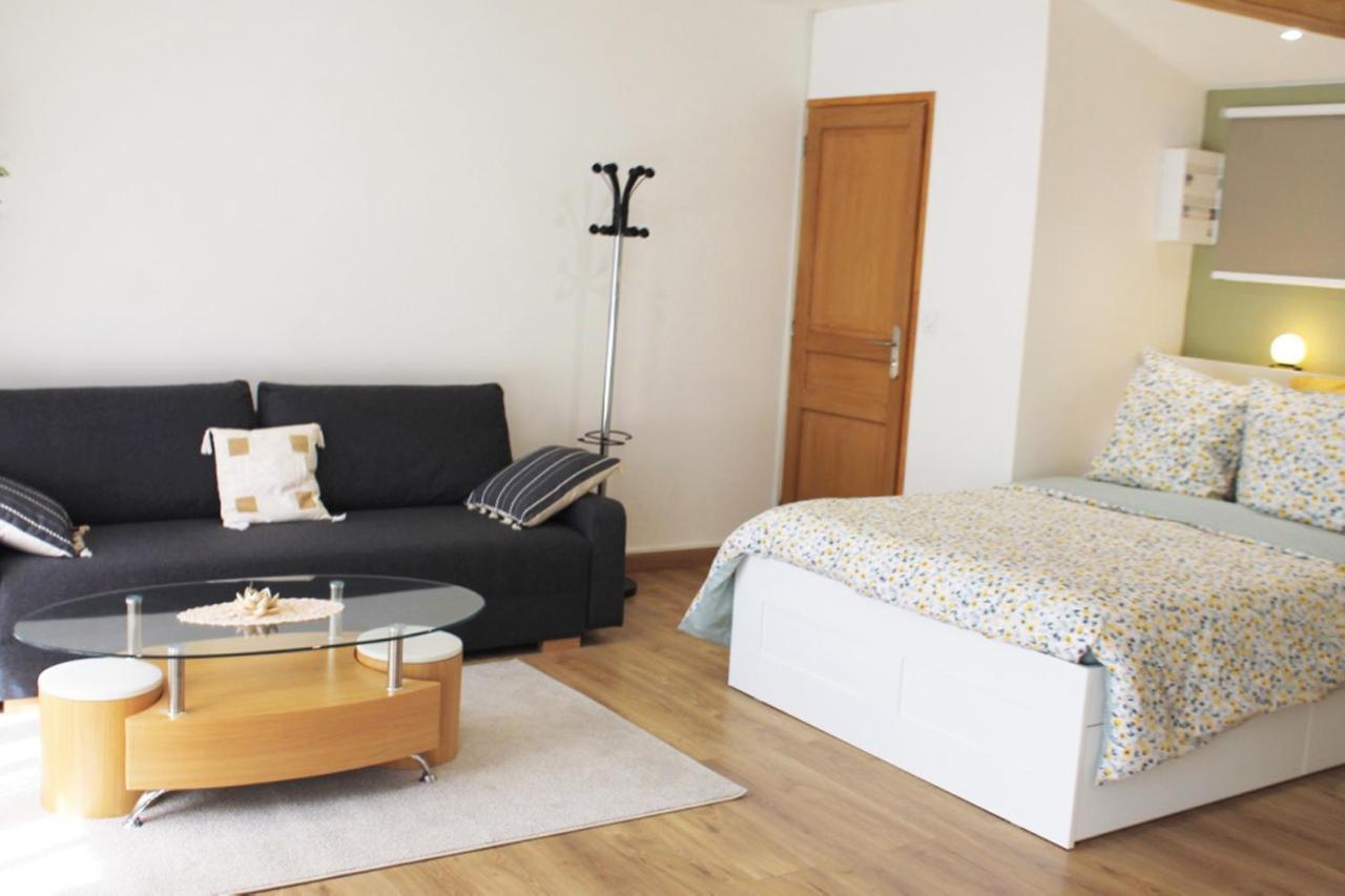 Saint Etienne : Appartement Chateaucreux 40 M2 מראה חיצוני תמונה