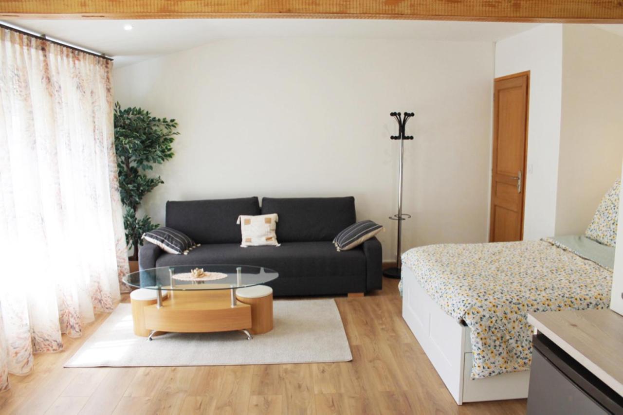 Saint Etienne : Appartement Chateaucreux 40 M2 מראה חיצוני תמונה
