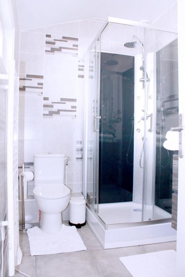 Saint Etienne : Appartement Chateaucreux 40 M2 מראה חיצוני תמונה